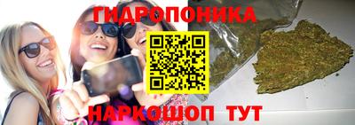 мдпв Тулун