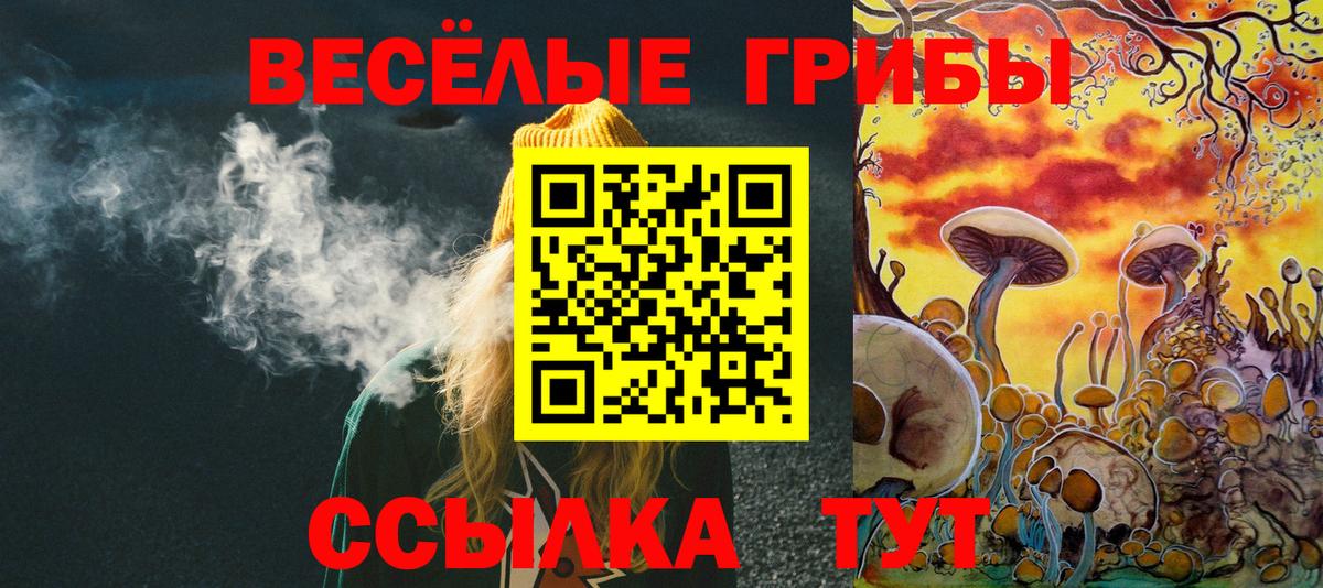 Галлюциногенные грибы Psilocybe  Вход с VPN  Нижний Новгород 
